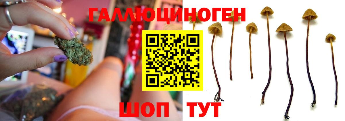 Псилоцибиновые грибы Psilocybe  Вход с VPN  Псилоцибиновые грибы мицелий  Бахчисарай 